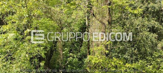 Terreno in vendita a Mulazzo - Rif. 3560036 - Foto 4