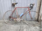 Bici da corsa Bottecchia vintage