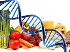 EDUCAZIONE ALIMENTARE,PIANI ALIMENTARI PERSONALIZZATI - Foto 3