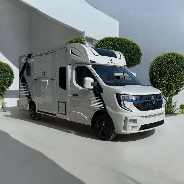 Renault Master Master 2.0 TD 170 CV AUTO HARAS ALLESTIMENTO STALLONI 5 POSTI CABINA - Foto 7