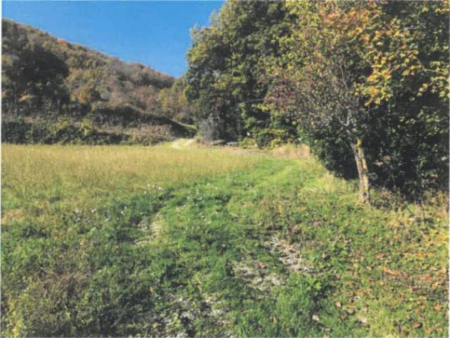 Immobile in asta di 291 m² con più di 5 locali in vendita a Cagli - Foto 7