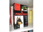Il Pinscher
