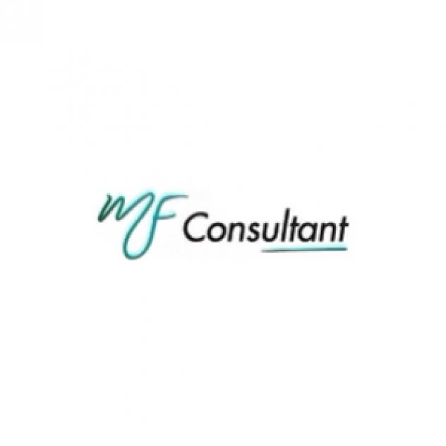 Business Analyst