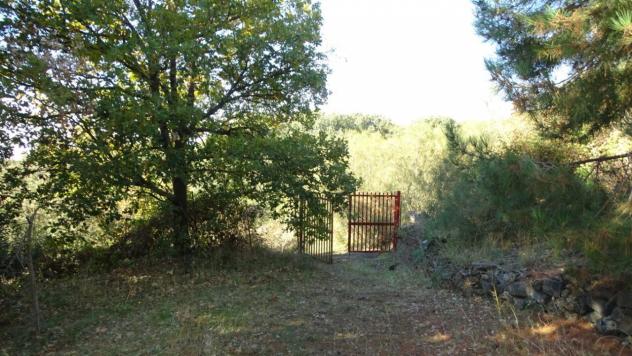 Area verde in vendita a Biancavilla - Foto 11