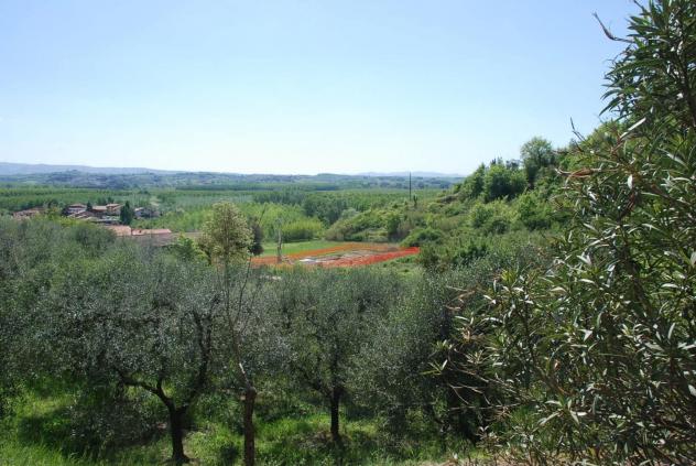 Terreno edif. residenziale in vendita a Pontedera 1180 mq Rif: 1012246