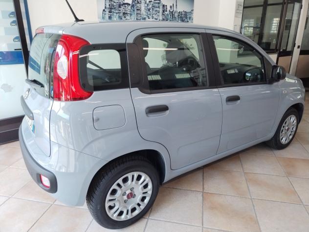 Fiat Panda 1.2 Easy - 11/2020 - Foto 3