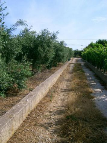 Immobile in asta di 2234 m² in vendita a Belmonte Mezzagno - Foto 4