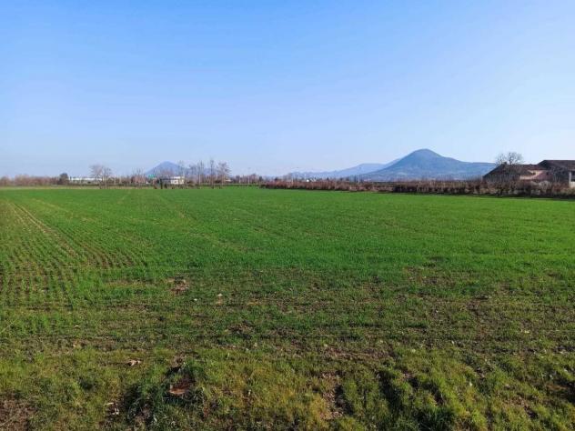 Seminativo in vendita a Noventa Vicentina