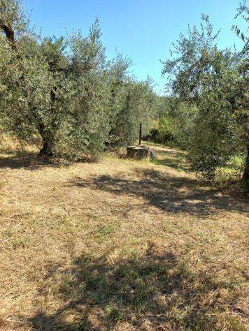Terreno agricolo in vendita a Peccioli 21000 mq Rif: 1408228