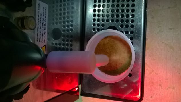 ASSISTENZA E COMODATO D'USO MACCHINE GINSENG ORZO - Foto 4