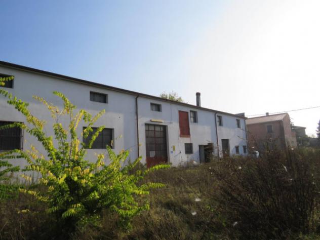 Immobile in asta di 855 m² con più di 5 locali in vendita a Cerea - Foto 9