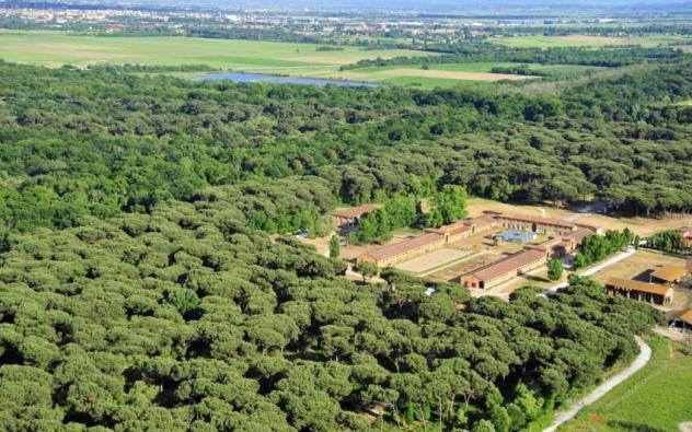 Appartamento in vendita a Pisa 60 mq  Rif: 1400330
