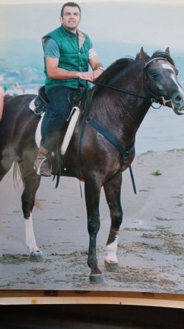 Guardiano, custode, manutentore, imbianchino, autista privato, breeder and farm - Foto 4