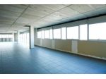 Immobile di 800 m² con più di 5 locali in vendita a Castel Mella
