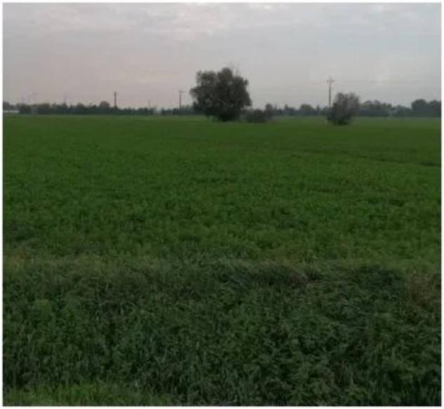 Immobile in asta di 156880 m² in vendita a Parma - Foto 5