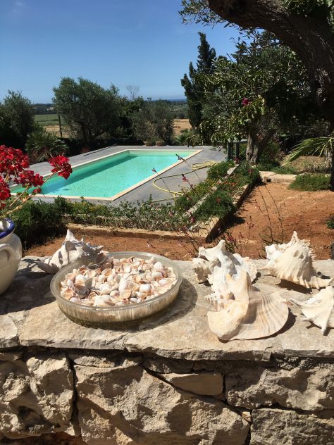 VILLA CON VISTA MARE SPETTACOLARE PISCINA GIARDINO MQ5400 MARINA DI UGENTO LECCE - Foto 5