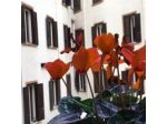 B&B Napolinn