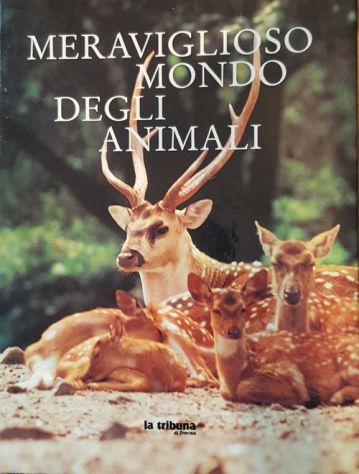 Meraviglioso mondo degli animali