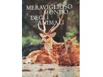 Meraviglioso mondo degli animali