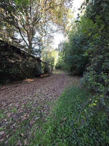Terreno edif. residenziale in vendita a Segromigno In Monte - Capannori 2000 mq Rif: 1361787 - Foto 6