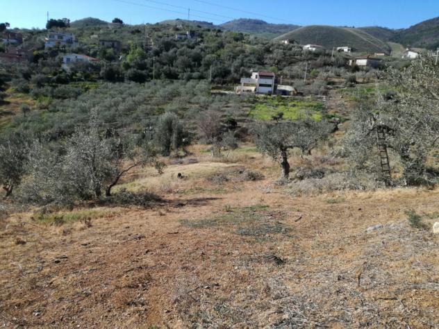 Agricolo in SP126 - Foto 8