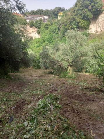 Uliveto in vendita a Morlupo - Foto 10