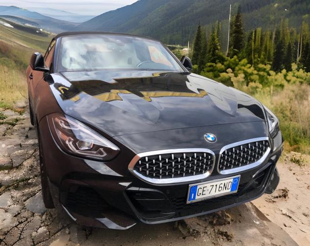 Bmw Z4 sDrive30i Msport - Foto 7
