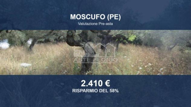 Immobile in asta di 2980 m² in vendita a Moscufo