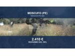 Immobile in asta di 2980 m² in vendita a Moscufo
