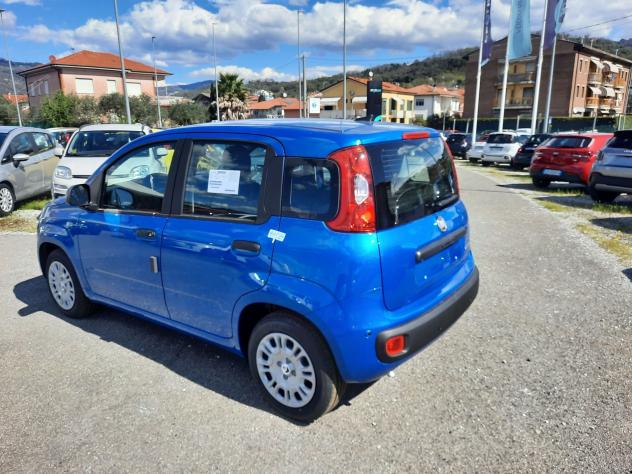 FIAT Pandina PANDA MY26 1.0 65CV HYBRID ICON - Foto 5