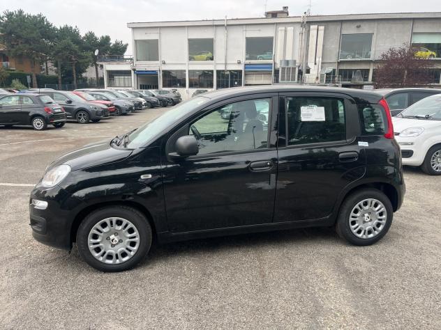 FIAT Panda Pandina 1.0 firefly hybrid Icon s&s 65cv - Foto 5