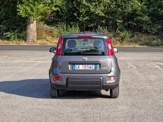 Fiat Panda 1.0 FireFly S&S Hybrid CV-69 E6 Manuale NEO 2022 - Foto 5