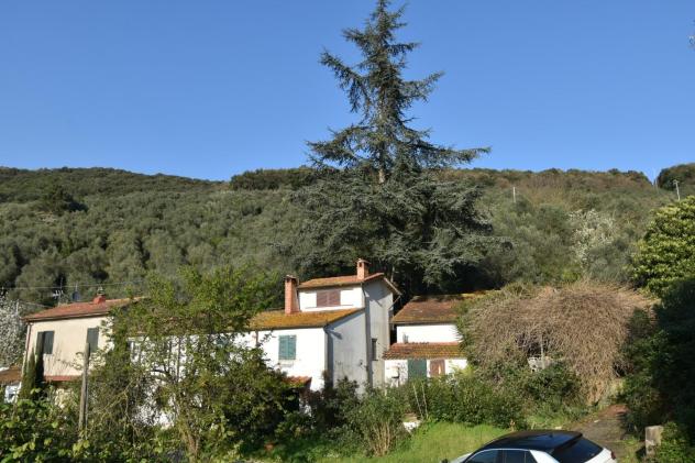 Terratetto in vendita a Filettole - Vecchiano 175 mq Rif: 1309103 - Foto 10