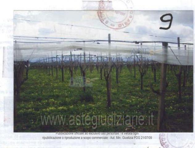IMMOBILI-ALTRA CATEGORIA-contrada Albanelli - Foto 2
