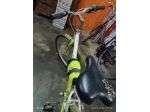 Bicicletta per ragazza