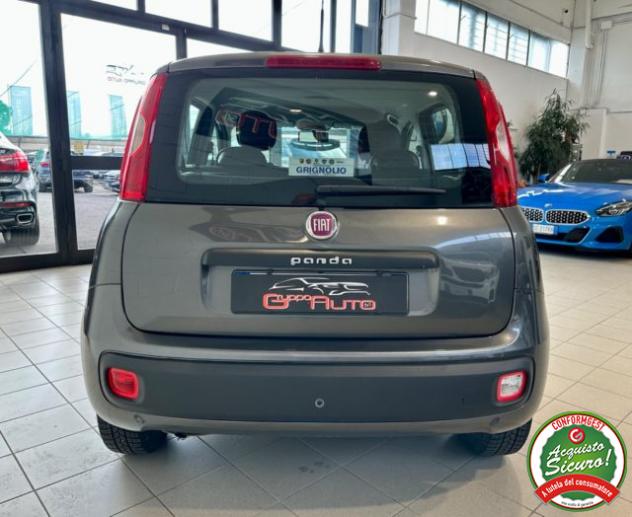 FIAT Panda 1.2 Pop *NO VINCOLI*NEOPAT*UNICO PROPRIETARIO* rif. 24123346 - Foto 5