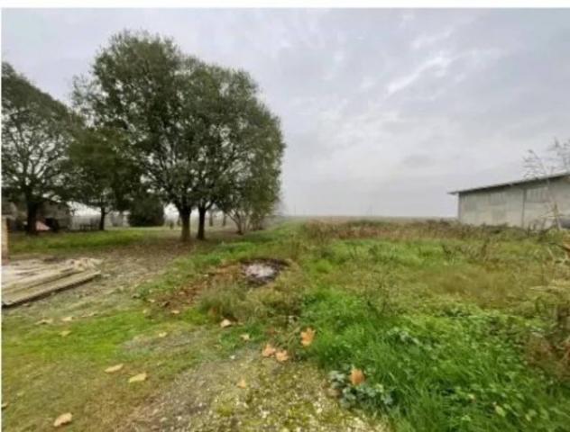 Immobile in asta di 167 m² in vendita a Codigoro - Foto 5