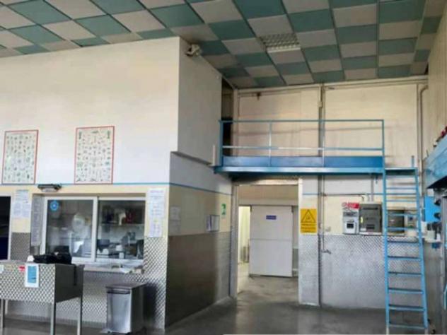 Immobile in asta di 469 m² in vendita a Castel d'Ario - Foto 10