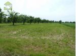 AREA EDIFICABILE di 750 mq (ZERO BRANCO) rif. RT513_6
