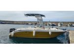 North Star 19 cc 140 CV fishing