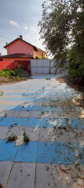 Casa indipendente su 3 lati a Cozzo (Pavia) a 38.000 euro trattabili 353.4251917 - Foto 3