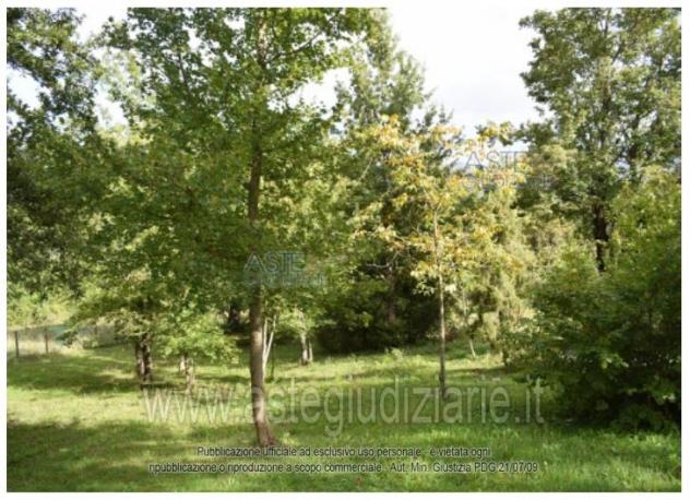 IMMOBILI-IMMOBILE RESIDENZIALE-Via Casine, 1701, 41025 Montecreto MO, Italia - Foto 9
