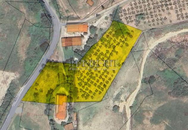 Porzione di casolare con ampio garage, resede e oliveto - Foto 20