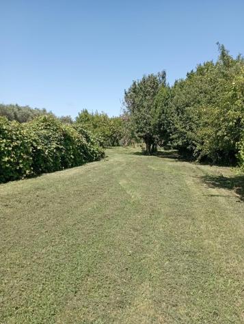 Terreno agricolo in vendita a La Vettola - Pisa 3650 mq Rif: 1275725 - Foto 8