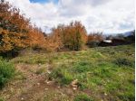 Terreno edificabile 2600 metri a Viagrande (CT)