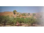 Villa c.da Borangio - Agrigento