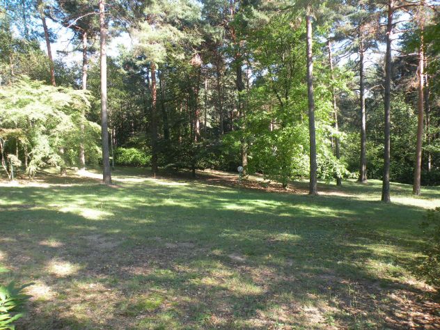 Ulti,o lotto edificabile in un bosco in tutta la Lombardia - Foto 7