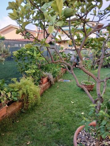 Villetta trifamiliare in vendita a Marina di Massa - Massa 150 mq Rif: 1335387 - Foto 2