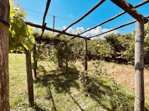 Casale in vendita a Somano - Foto 10