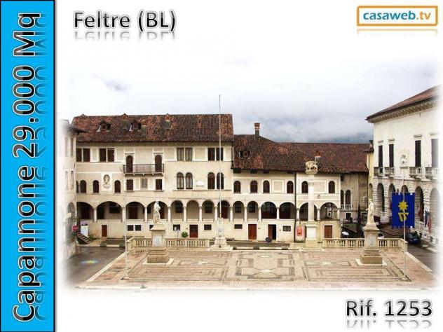 1253 - Capannone a Borgo Valbelluna - Foto 9
